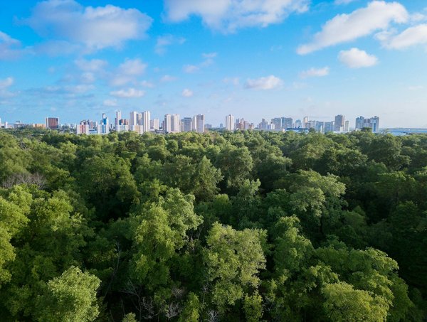 Les meilleures options de devis pour systèmes d'alarme télésurveillés