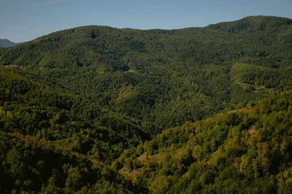 Découverte de la magie de rue : l'art de surprendre