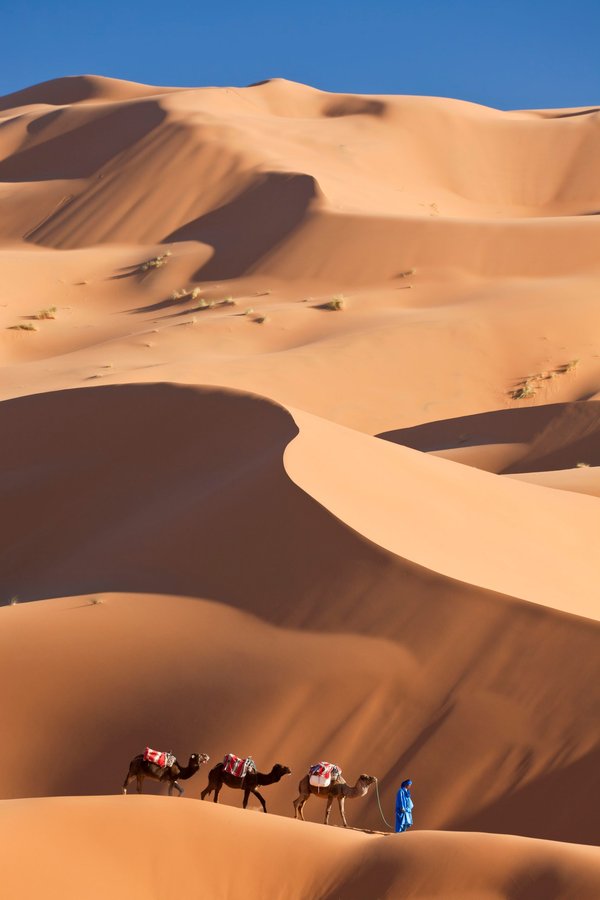 Trouvez la djellaba pour femme parfaite pour chaque occasion